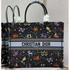 Christian Dior Shopping Bags